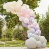 Ballonnenboog Pink & Lilac Ginger Ray