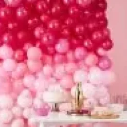 Ballonnenmuur Ombre Roze Star Gazer Ginger Ray