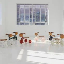 Banwood Trike Driewieler Donkerblauw