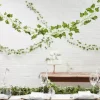 Decoratieve Klimop 2M (5St) Beautiful Botanics Ginger Ray