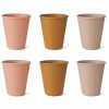 Liewood Bekers Carter Rose Multi Mix (6St)
