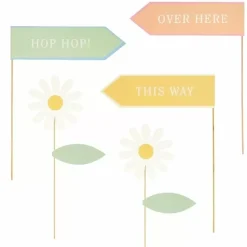 Meri Meri Easter Bunny Paaseieren Zoekset